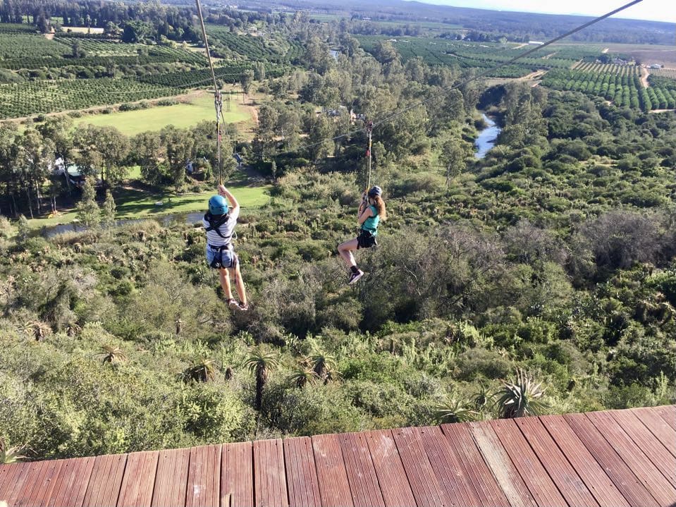 Zip line in Adrenaline Addo adventure centre, South Africa