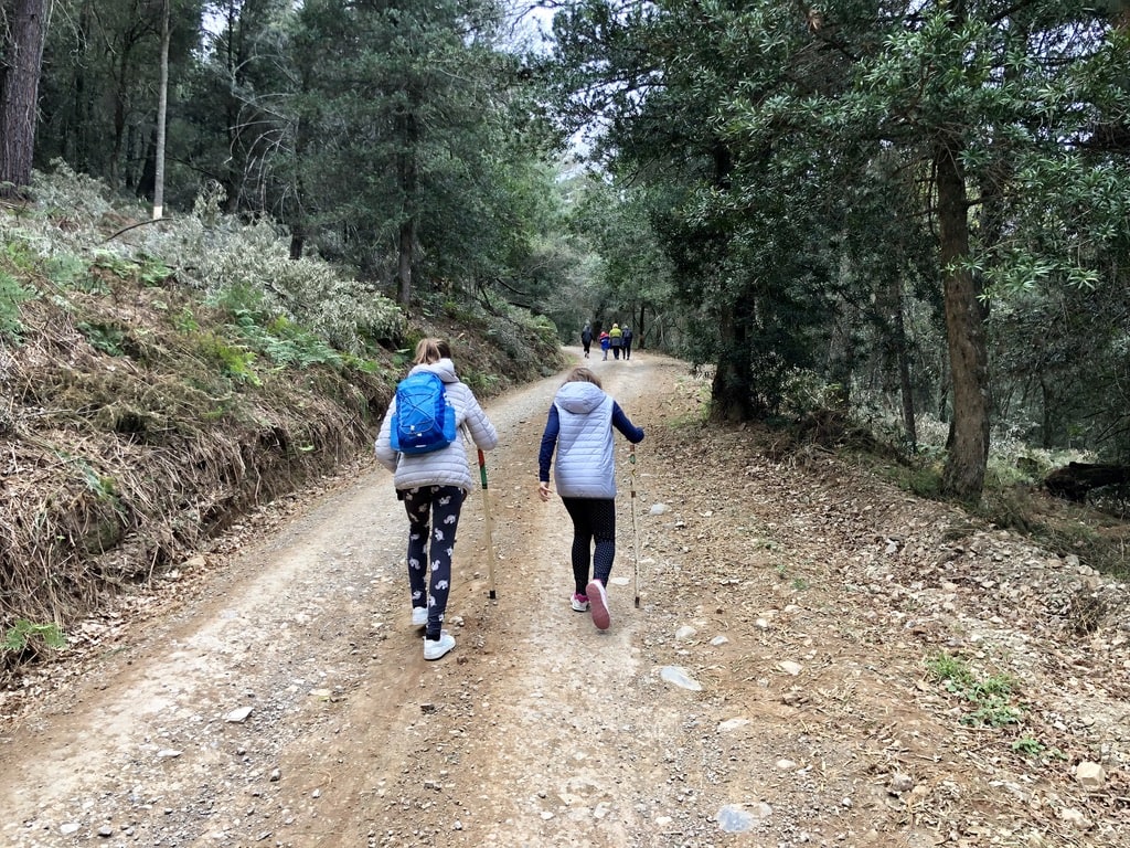 Hike towards Kettlespout Waterfall in South Africa, Hogsback