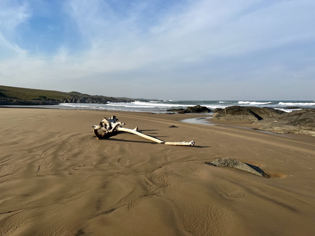 Beach close to Kob Inn in Transkei