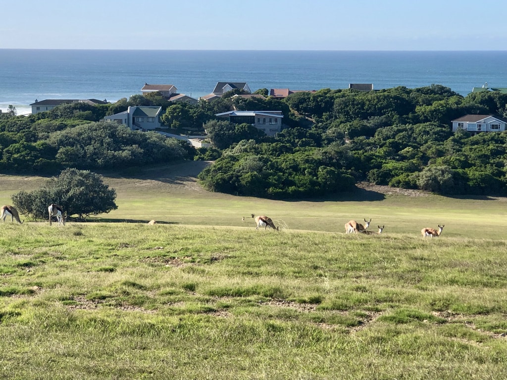 Royal Port Alfred Golf Club in Eastern Cape South Africa