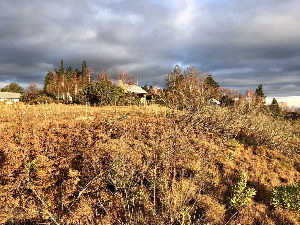 View of Hogsback