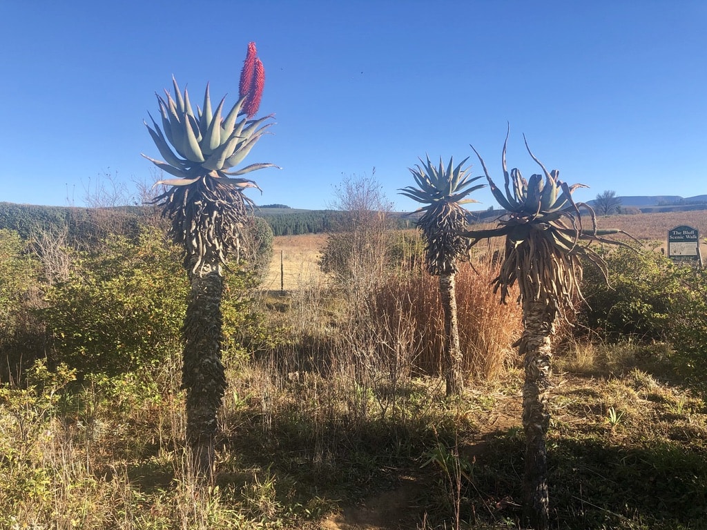 Hogsback, South Africa