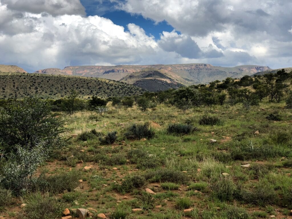 Inside Mountain Zebra National park, Eastern Cape