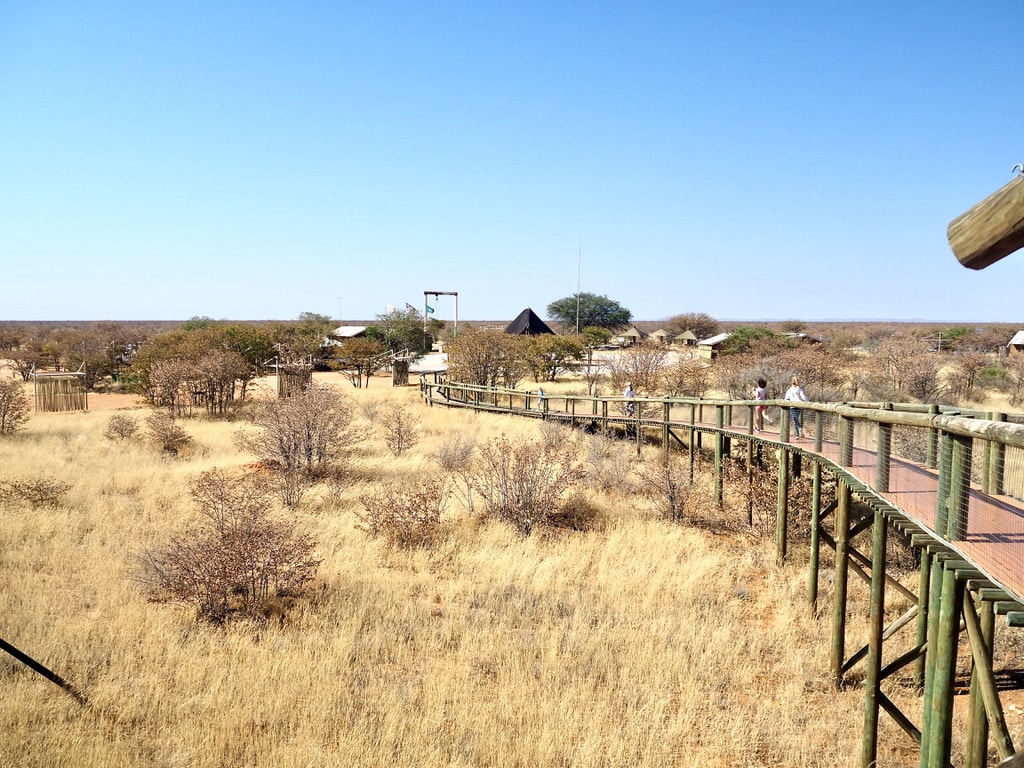 Nature walk way in Olifantsrus Camp