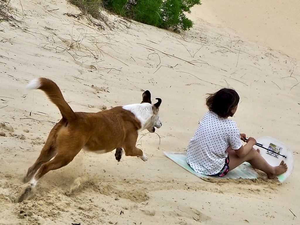 Sandboarding on the East beach dunes in Port Alfred South Africa