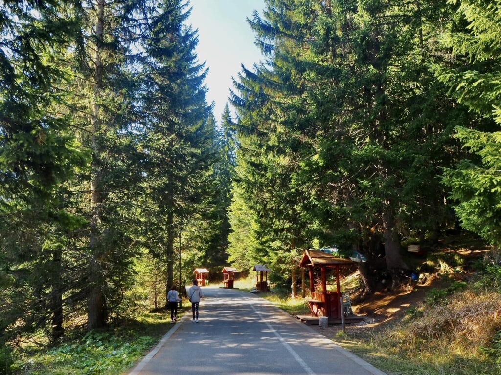 Road in the Durmitor National park leading to the Black Lake