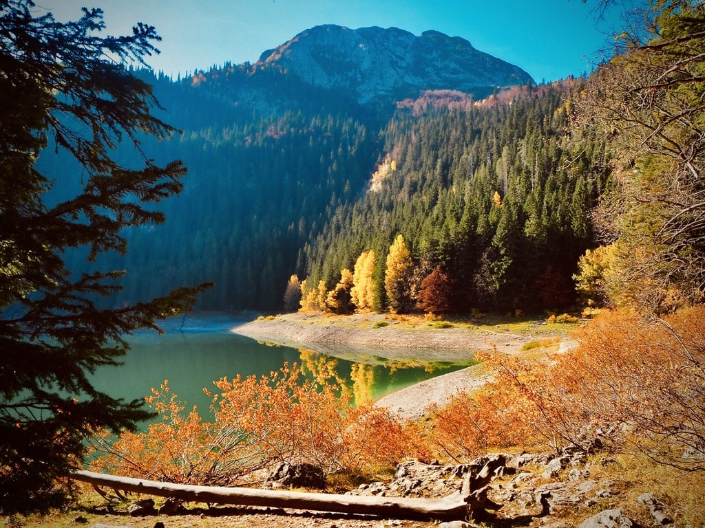 Image of the Crno Jezero in Durmitor National Park