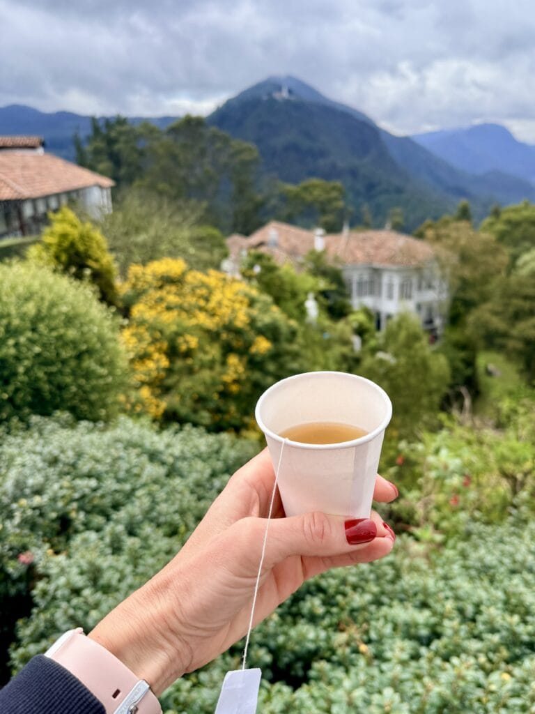 View from Monserrate, drinking Coca tea